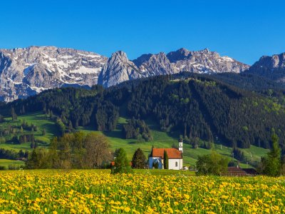 Hotel Bannwaldsee Sommer Natur