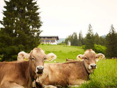 Berghotel Sonnenklause Außenansicht Sommer