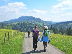 Eine Gruppe wandert durch die Umgebung rund um das Hotel Allgäu Sonne in Oberstaufen