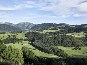 Ausblick auf die Umgebung in der Nähe des Bergkristall - Mein Resort im Allgäu in Oberstaufen