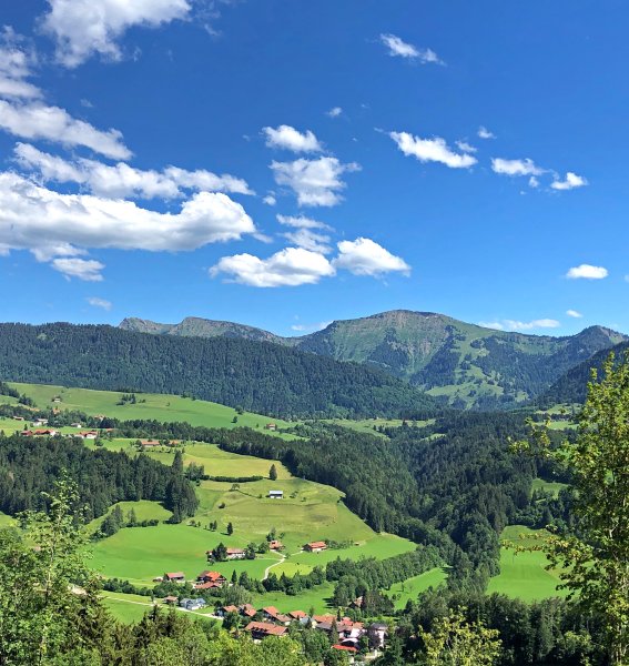 Ausblick auf die Natur rund um das Hotel Allgäu Sonne in Oberstaufen
