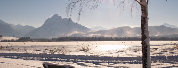 Biohotel Eggensberger Aussicht See Winter