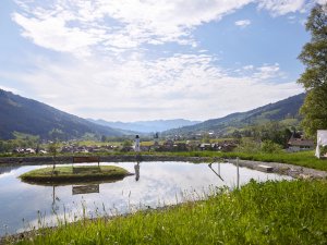 Ausblick vom Teich im Hotel Prinz-Luitpold-Bad in Bad Hindelang im Sommer