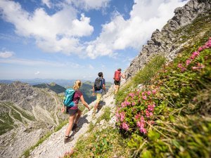 Tourismus Oberstdorf, Wandern im Allgäu