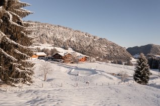 Alpe Dornach Außenansicht Winter