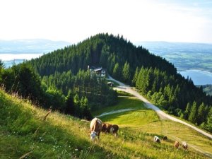 Aussicht vom Berg auf die Rohrkopfhütte die zum Hotel Das Rübezahl in Schwangau gehört