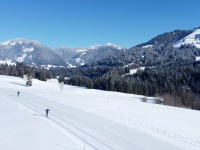 Langlaufen als einer der vielen Freizeitaktivitäten im Hotel Torghele's Wald & Fluh in Balderschwang