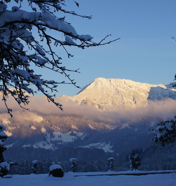 Aussicht in die Umgebung des Hotels Berwanger Hof in Obermaiselstein im Winter