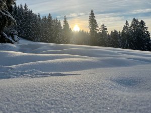 Aussicht im Winter in der Umgebung vom DIANA Naturpark Hotel in Oberstaufen
