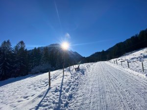 Ausblick im Winter in die Umgebung vom Hotel Prinz-Luitpold-Bad in Bad Hindelang