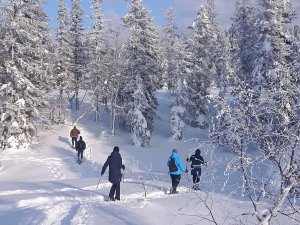 Gäste vom Hotel Allgäu Sonne in Oberstaufen beim Schneeschuhwandern