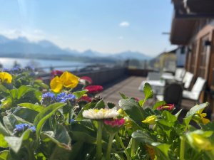 Einblick in die Terrasse mit blühenden Blumen im Biohotel Eggensberger in Hopfen am See / Füssen