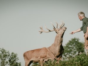 Ansicht des hoteleigenen Platzhirsch Hansi mit dem Hoteliers des Hotel Bergkristall in Oberstaufen.
