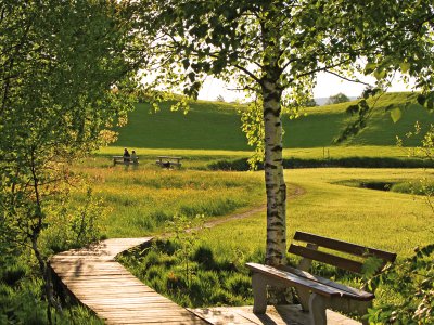 Ansicht der Burgberger Moos an einem sonnigen Tag.