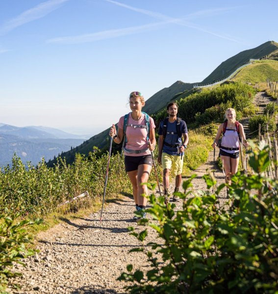 Es sind drei Gäste des Best Western Plus Hotel Alpenhof in Oberstdorf zu sehen, welche auf dem Fellhorngrat eine Wanderung unternehmen.