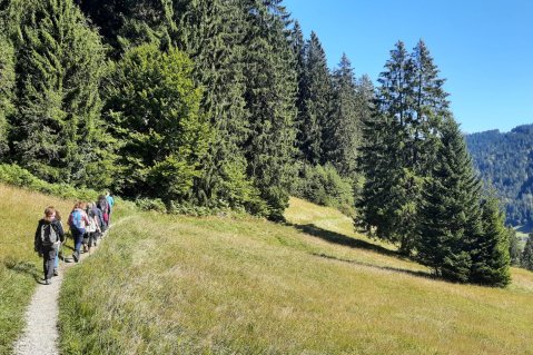 Es sind Gäste des Hotels Allgäu Sonne in Oberstaufen zu sehen, die gerade eine Wanderung im Sommer unternehmen.