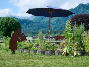 Es ist der Kräutergarten des SCHÜLE'S Gesundheitsresort und SPA in Oberstdorf im Sommer zu sehen.