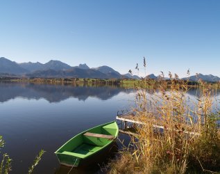Es ist der Hopfensee im Sommer zu sehen, auf dem ein grünes Boot liegt.
