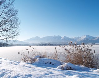 Ausblick auf den Hopfensee im Winter der sich in nächster Nähe zum Biohotel Eggensberger in Füssen / Hopfen am See befindet