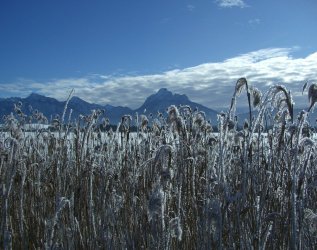 Hotel Bannwaldsee Aussicht Winter