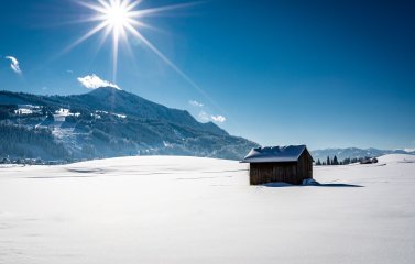 Schneebedeckte Allgäuer Landschaft mit einer Hütte auf einer Wiese und Berge im Hintergrund