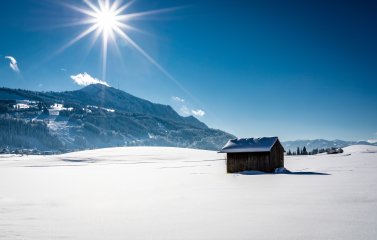Schneebedeckte Allgäuer Landschaft mit einer Hütte auf einer Wiese und Berge im Hintergrund