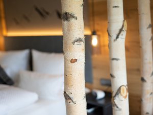 Einblick in eines der Zimmer im Best Western Plus Hotel Alpenhof in Oberstdorf mit Blick durch dekorativen Birkenstämmen
