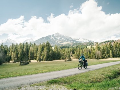 Eine Person fährt mit dem Fahrrad durch die Allgäuer Landschaft