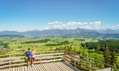 Ausblick auf die Allgäuer Alpen in der Nähe des Landhotel Gockelwirt in Eisenberg.