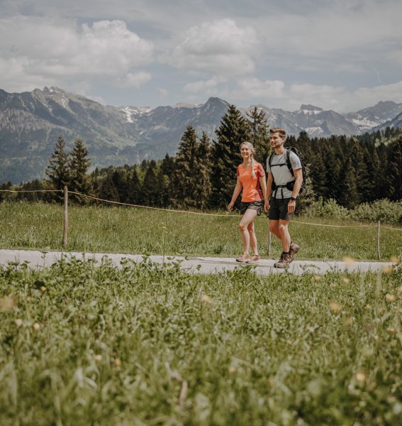 Gäste beim Wandern im Sommer in der Nähe der Alpe Dornach in Oberstdorf.