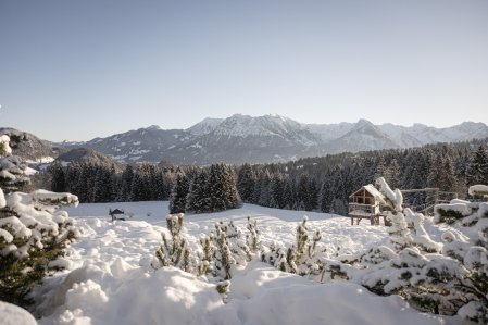 Aussicht auf die winterliche Berglandschaft von der Alpe Dornach in Oberstdorf.