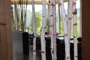 Hinter Birkenästen befinden sich Liegestühle im Wellnessbereich mit Blick aus dem Fenster im Sontheim's Naturhotel & Spa in Maierhöfen.