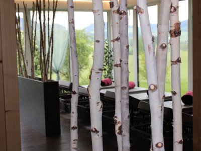 Hinter Birkenästen befinden sich Liegestühle im Wellnessbereich mit Blick aus dem Fenster im Sontheim's Naturhotel & Spa in Maierhöfen.