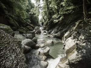 Ein Bach in den Bergen in der Nähe des HUBERTUS Mountain Refugio Allgäu in Balderschwang.