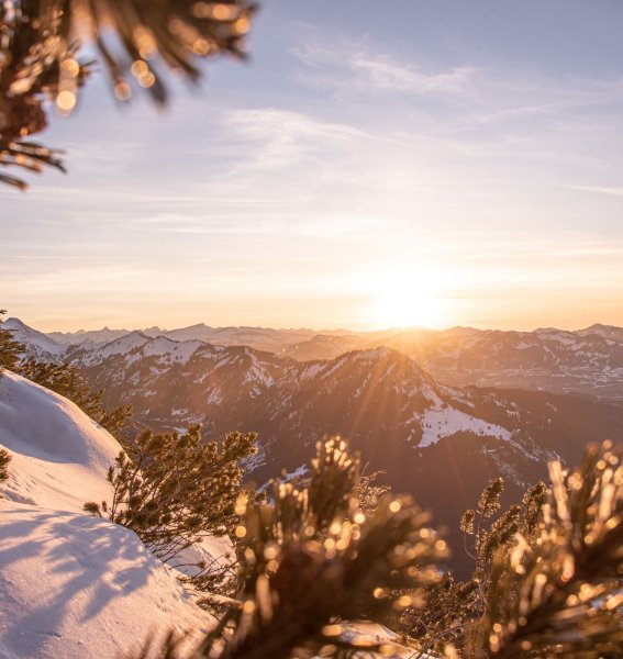 Letzte Sonnenstrahlen am Oberjoch im Winter.