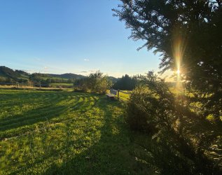 Blick auf die Natur im Sommer im Naturlandhaus Krone in Maierhöfen.