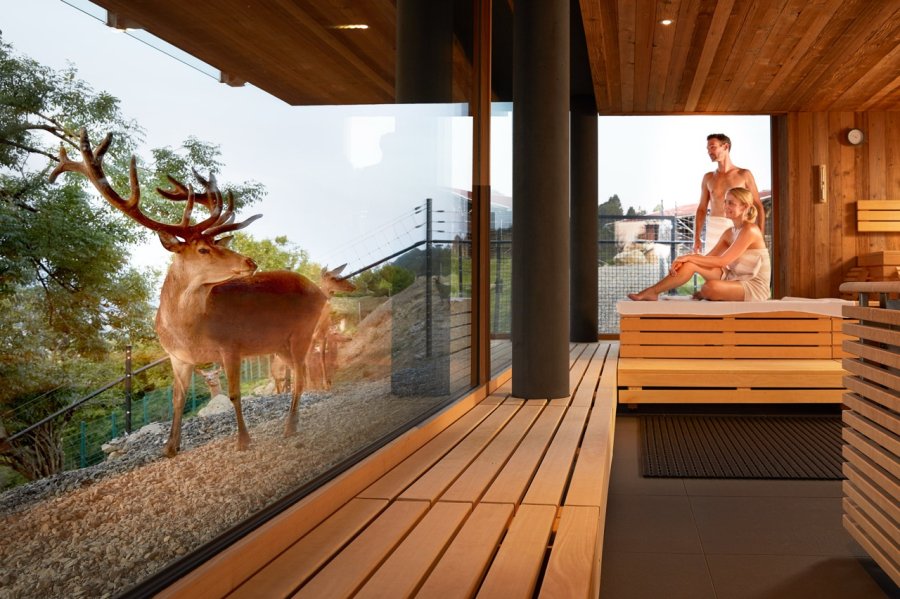 Bergkristall Mein Resort im Allgäu Sauna Am Fenster der Sauna läuft ein Hirsch vorbei im Resort Bergkristall in Oberstaufen.