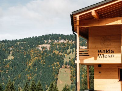 Wald & Wiesn Berghotel Balderschwang Außenansicht Die Außenansicht des Wald & Wiesn Berghotel Balderschwang.