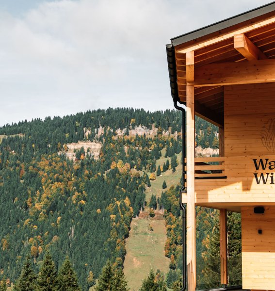 Wald & Wiesn Berghotel Balderschwang Außenansicht Die Außenansicht des Wald & Wiesn Berghotel Balderschwang.