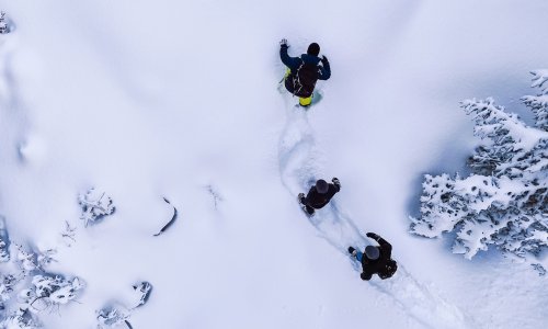 Wald & Wiesn Berghotel Balderschwang Winterwandern Gäste beim Winterwandern in der Nähe des Wald & Wiesn Berghotel Balderschwang.