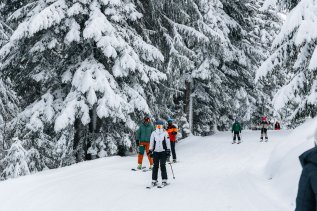 Gäste beim Skifahren in der Nähe des Wald & Wiesn Berghotel Balderschwang.