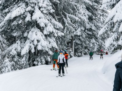 Wald & Wiesn Berghotel Balderschwang Skifahren Gäste beim Skifahren in der Nähe des Wald & Wiesn Berghotel Balderschwang.