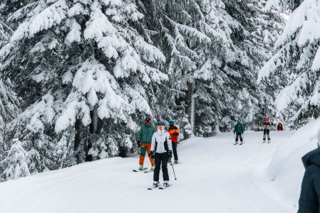 Wald & Wiesn Berghotel Balderschwang Skifahren Gäste beim Skifahren in der Nähe des Wald & Wiesn Berghotel Balderschwang.
