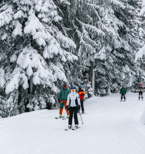 Wald & Wiesn Berghotel Balderschwang Skifahren Gäste beim Skifahren in der Nähe des Wald & Wiesn Berghotel Balderschwang.