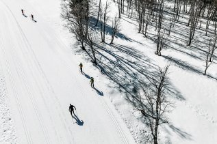 Gäste beim Langlaufen im Wald & Wiesn Berghotel Balderschwang.
