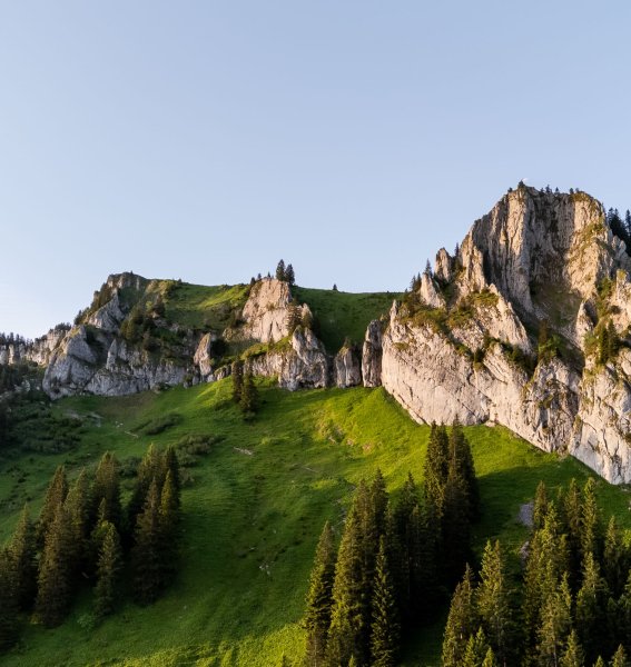 Wald & Wiesn Berghotel Balderschwang Berge Ausblick auf die Berge im Sommer im Wald & Wiesn Berghotel Balderschwang.
