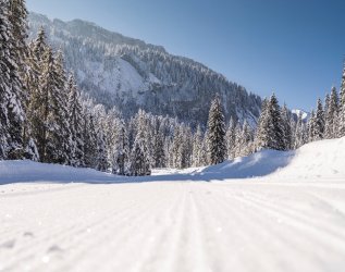 Eine Langlaufstecke in der Nähe des Alpenhof Oberstdorf Hotel & SPA.