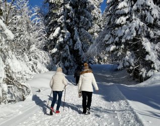 Gäste beim Winterwandern in der Nähe des Hotels Allgäu Sonne in Oberstaufen.