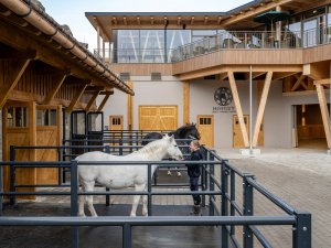 Pferde an der Reithalle im Sonnenalp Resort in Ofterschwang.