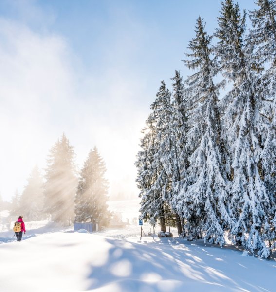 Eine Person läuft durch die verschneite Allgäuer Landschaft und wurde aus der Ferne fotografiert